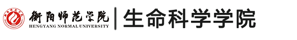 3377体育